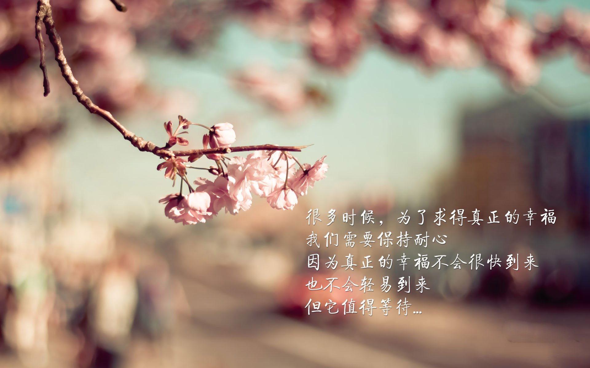 中国女足队长受伤无缘奥预赛，队医组加急评估，中国女足队长出轨