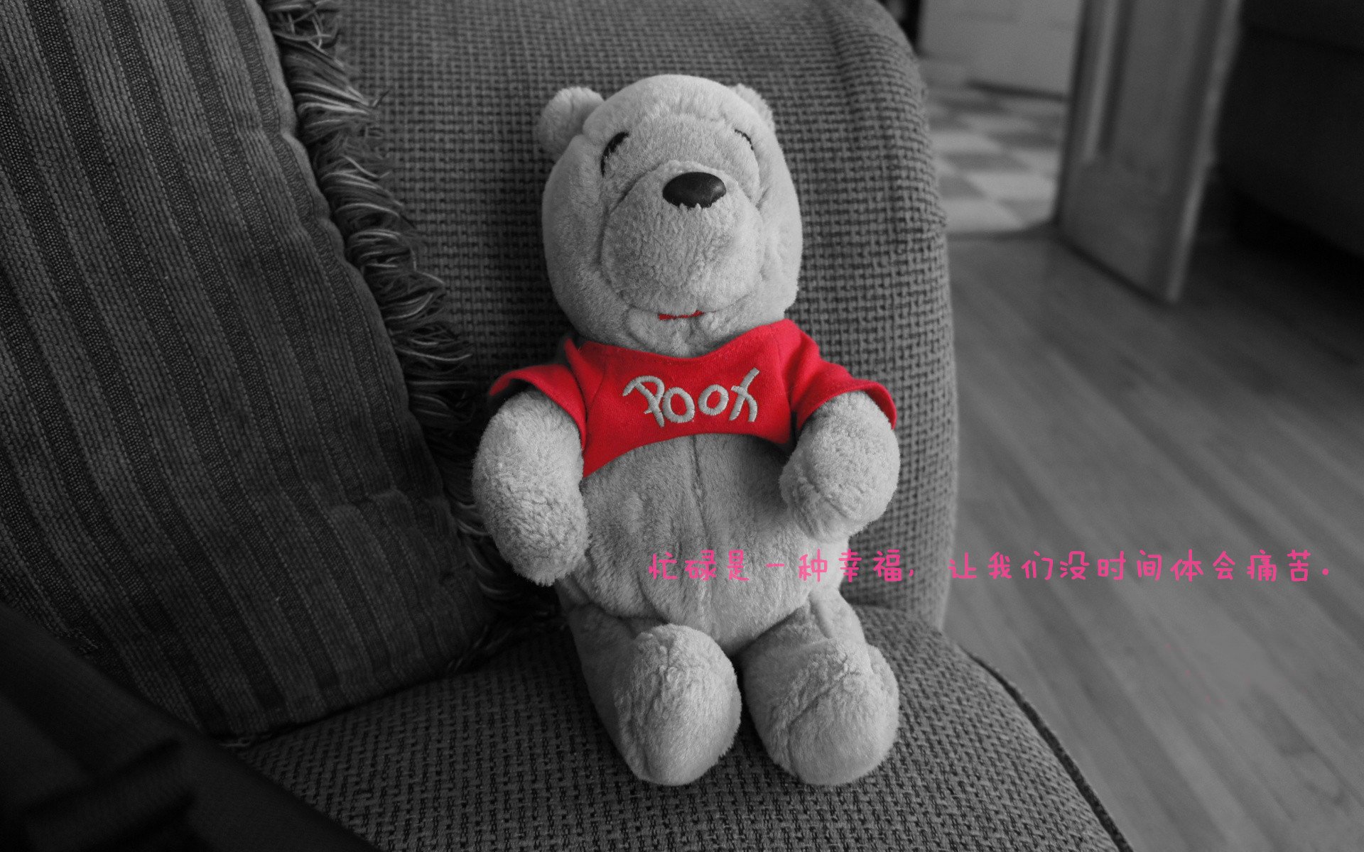 _夜光自行车巡游:在灯火中穿越城市_,自行车的夜光灯怎么亮