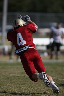 JIU YOU GAME-校园足球支持学生裁判项目拓展多元职业通路，普通高校足球专业学生裁判能力的培养